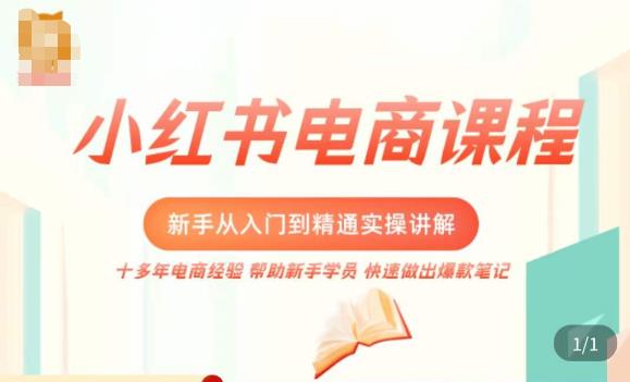 小红书电商新手入门到精通实操课,从入门到精通做爆款笔记,开店运营