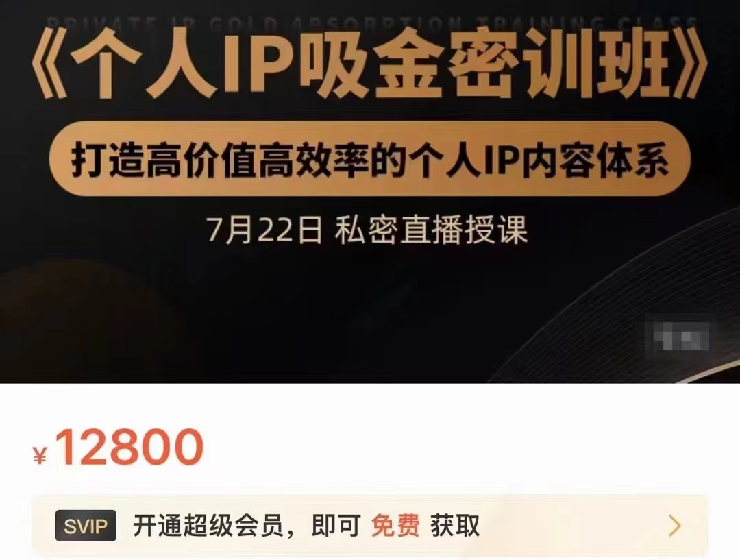 个人IP吸金密训班,打造高价值高效率的个人IP内容体系(价值12800元)