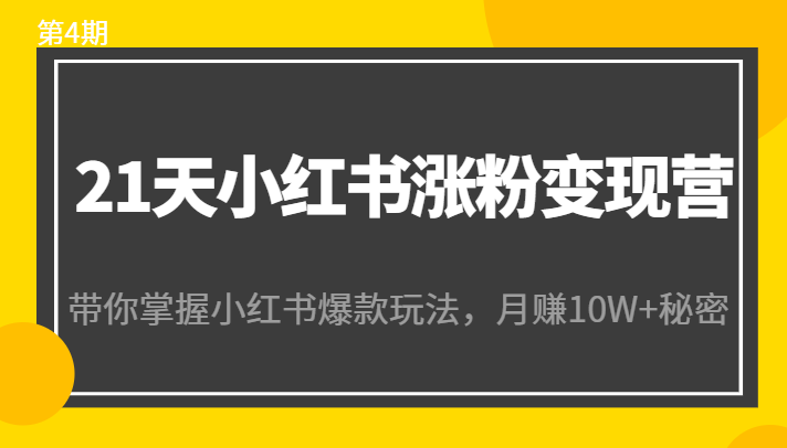 21天小红书涨粉变现营(第4期):带你掌握小红书爆款玩法,月赚10W+秘密