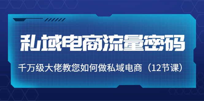 私域电商流量密码:千万级大佬教您如何做私域电商(12节课)